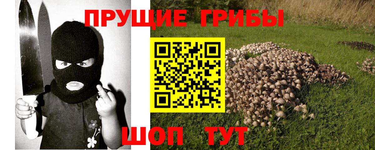 Галлюциногенные грибы GOLDEN TEACHER  Вход с VPN  что такое наркотик  Белая Калитва 